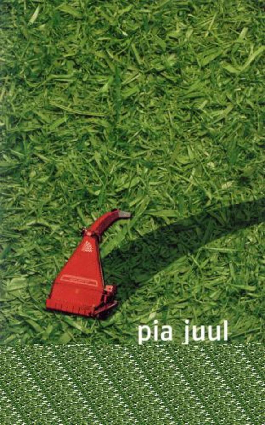 Pia Juul: Dengang med hunden