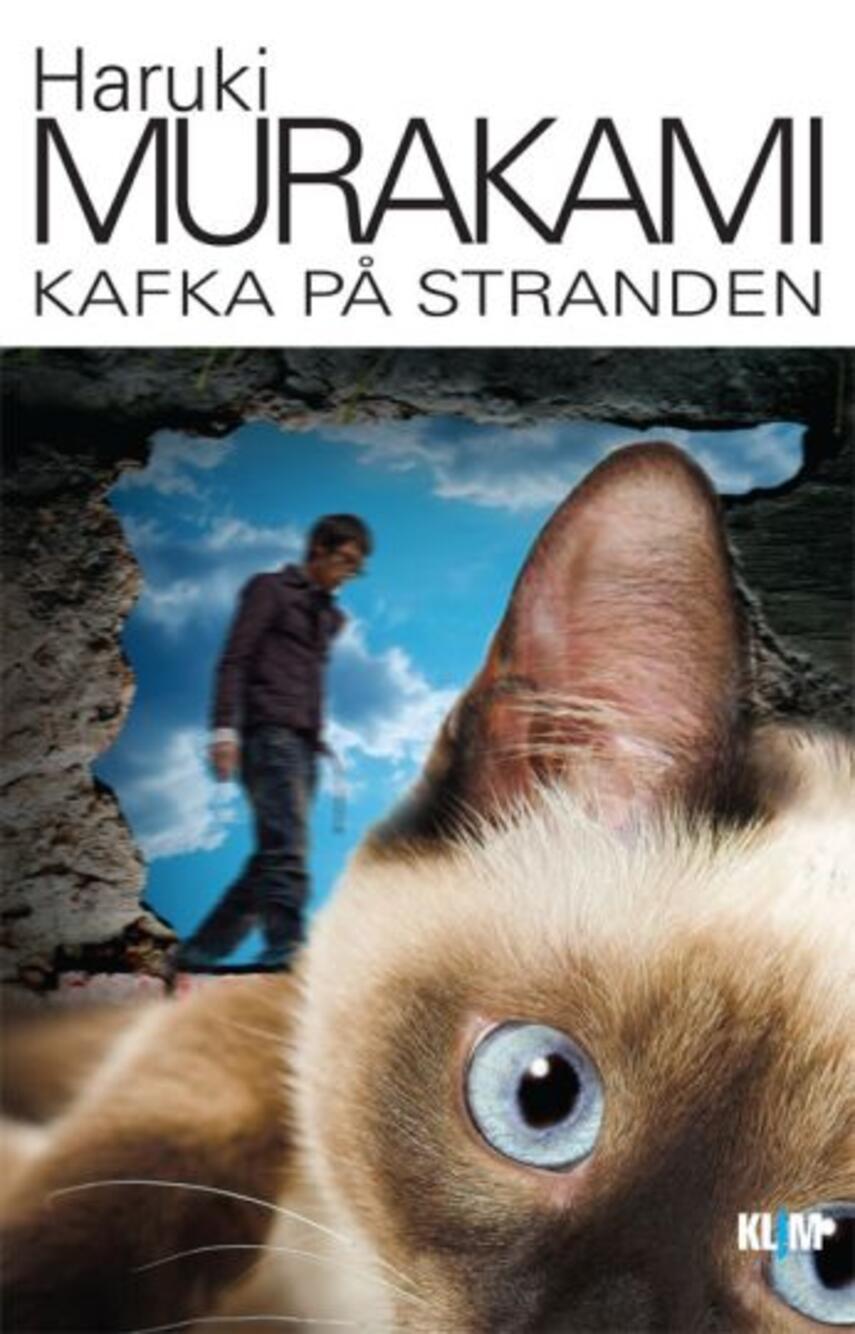 Haruki Murakami: Kafka på stranden
