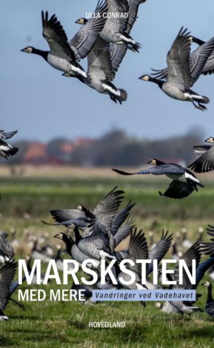 Ulla Conrad: Marskstien med mere : vandringer ved Vadehavet