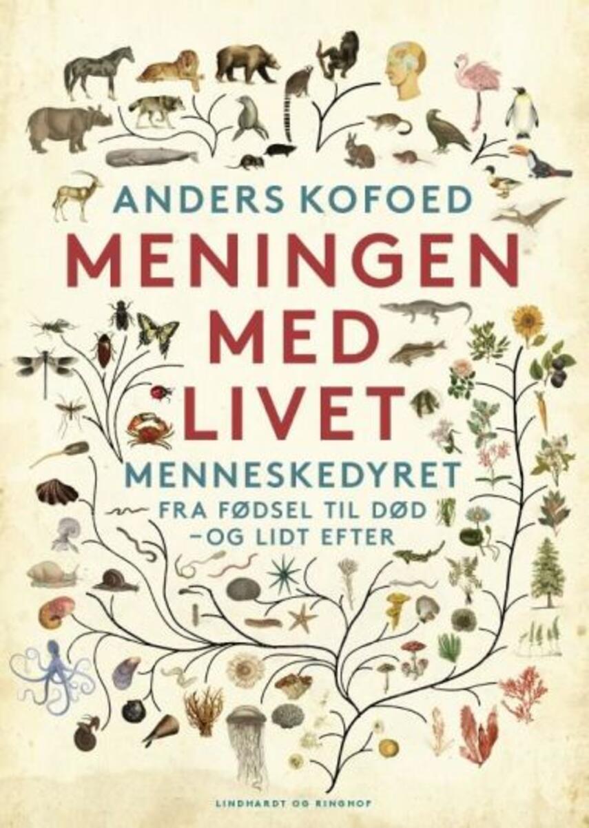 Anders Kofoed: Meningen med livet : menneskedyret fra fødsel til død - og lidt efter
