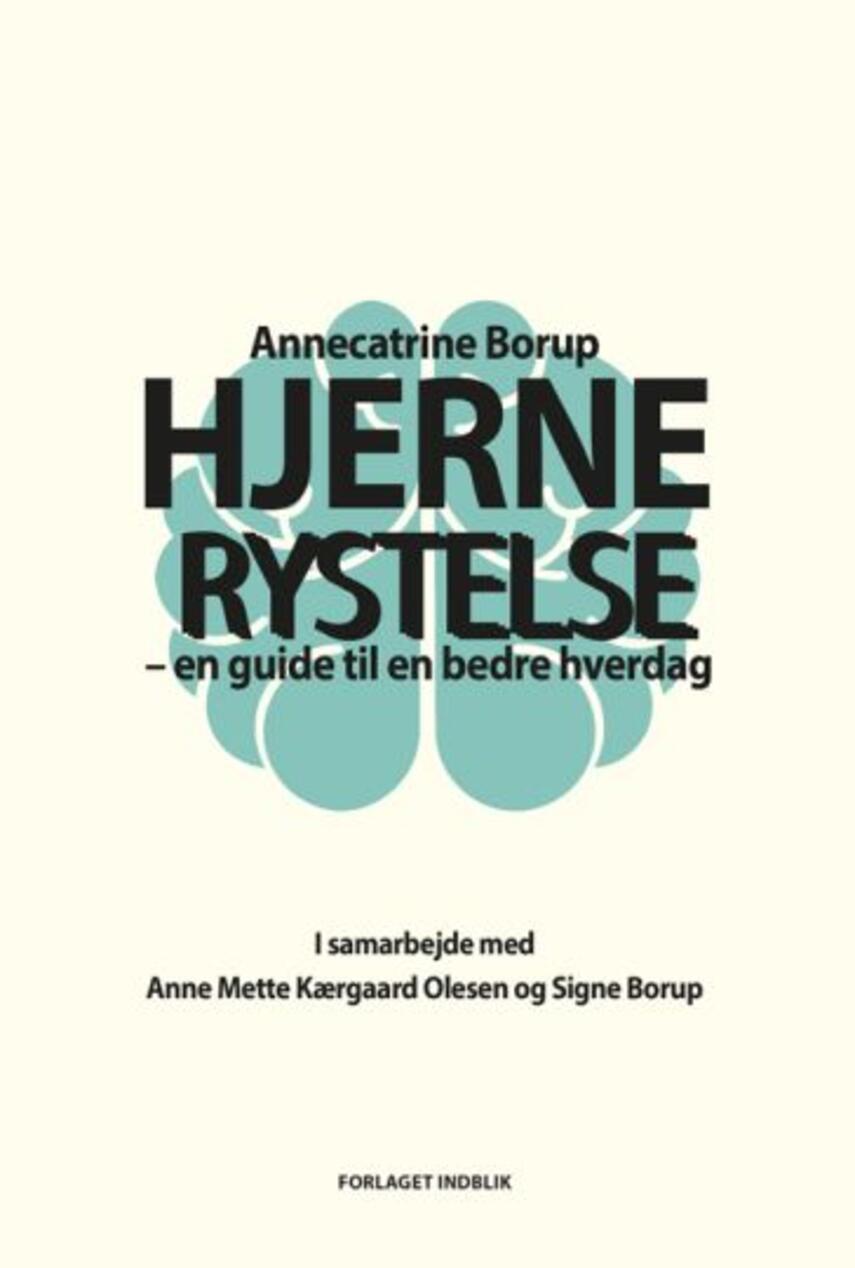 Annecatrine Borup: Hjernerystelse : en guide til en bedre hverdag