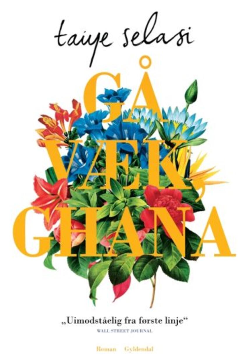 Taiye Selasi (f. 1979): Gå væk, Ghana : roman