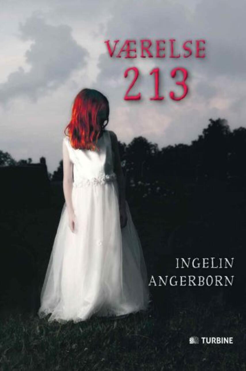 Ingelin Angerborn: Værelse 213