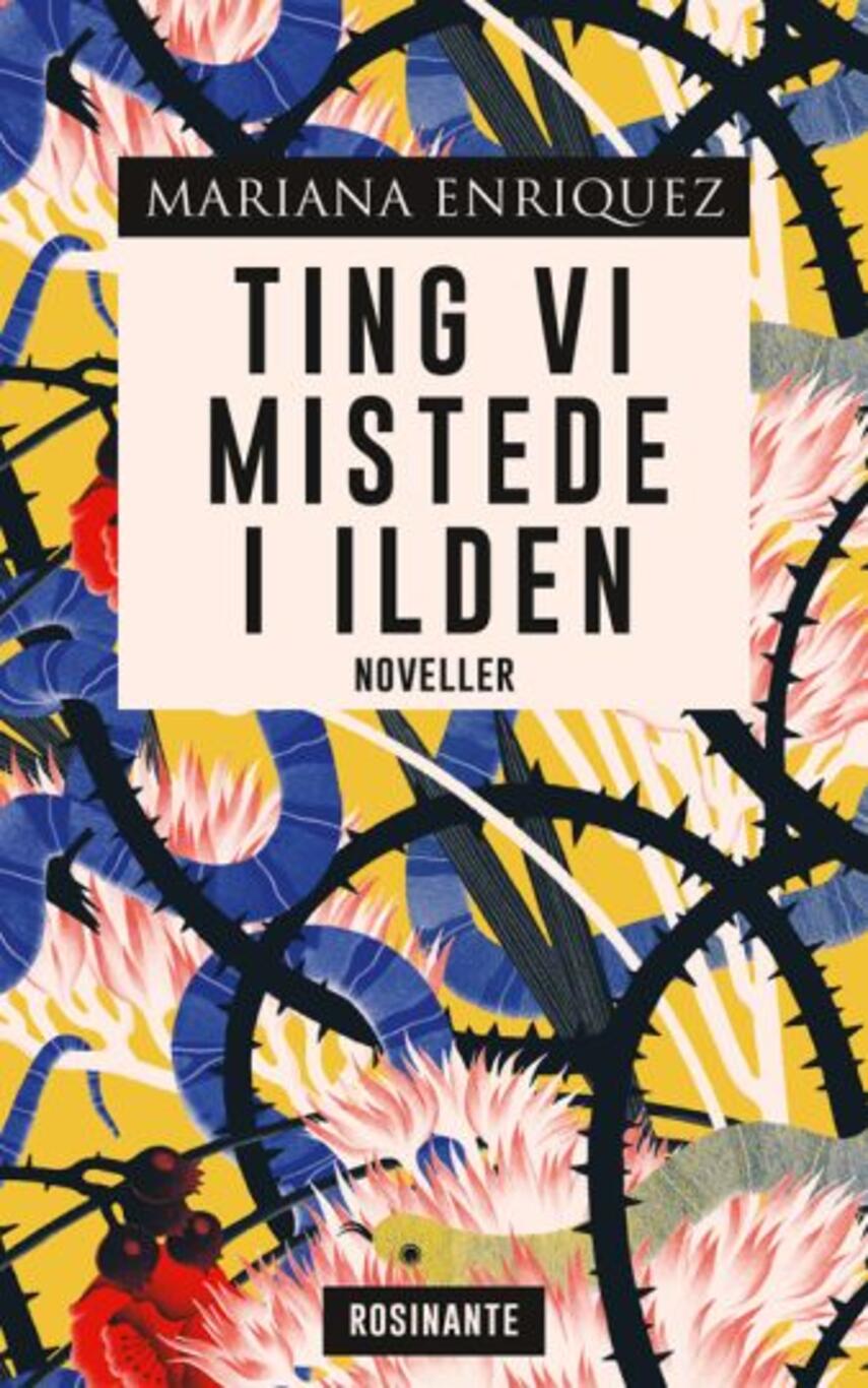 Mariana Enriquez: Ting vi mistede i ilden : noveller