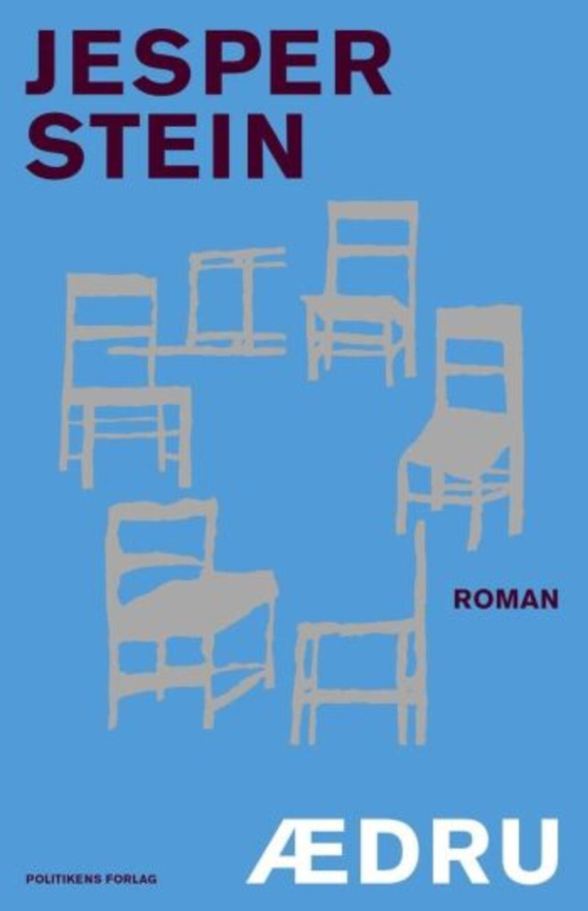 Jesper Stein: Ædru : roman