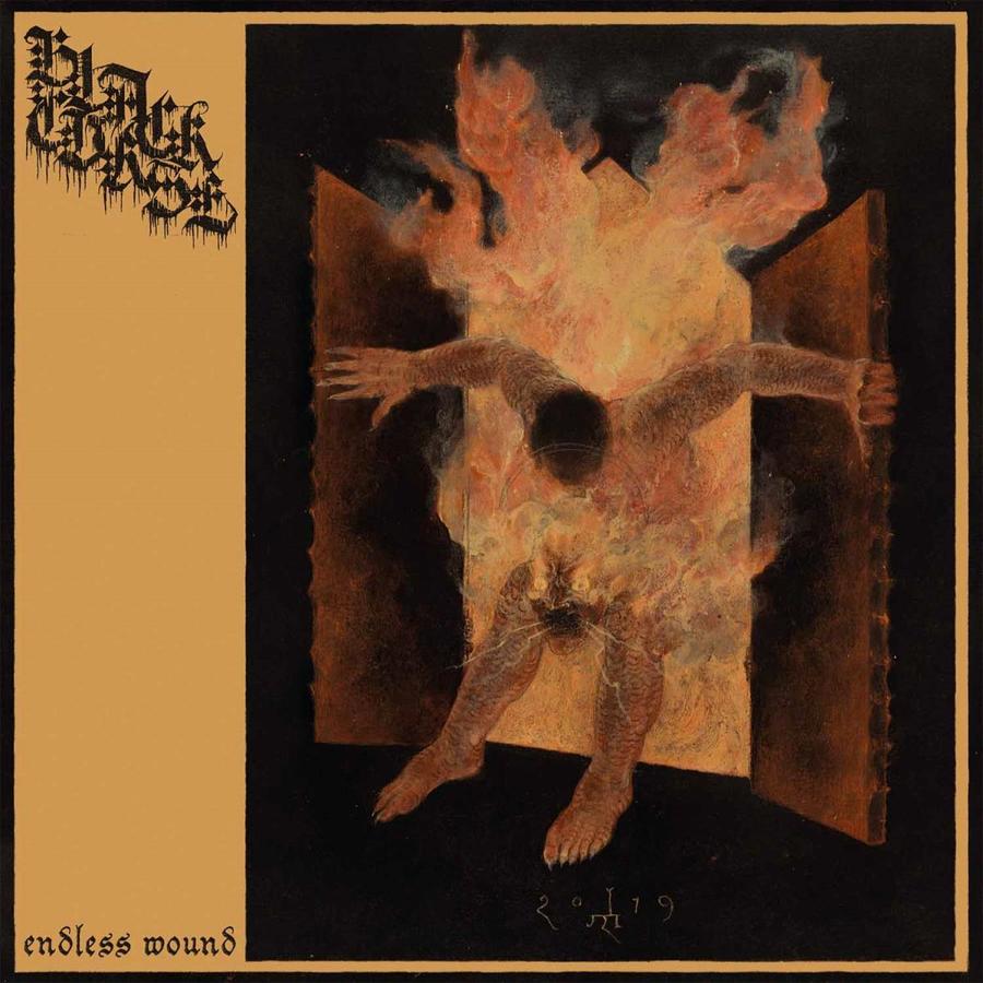 Black Curse - Endless Wound Black Curse - Endless Wound