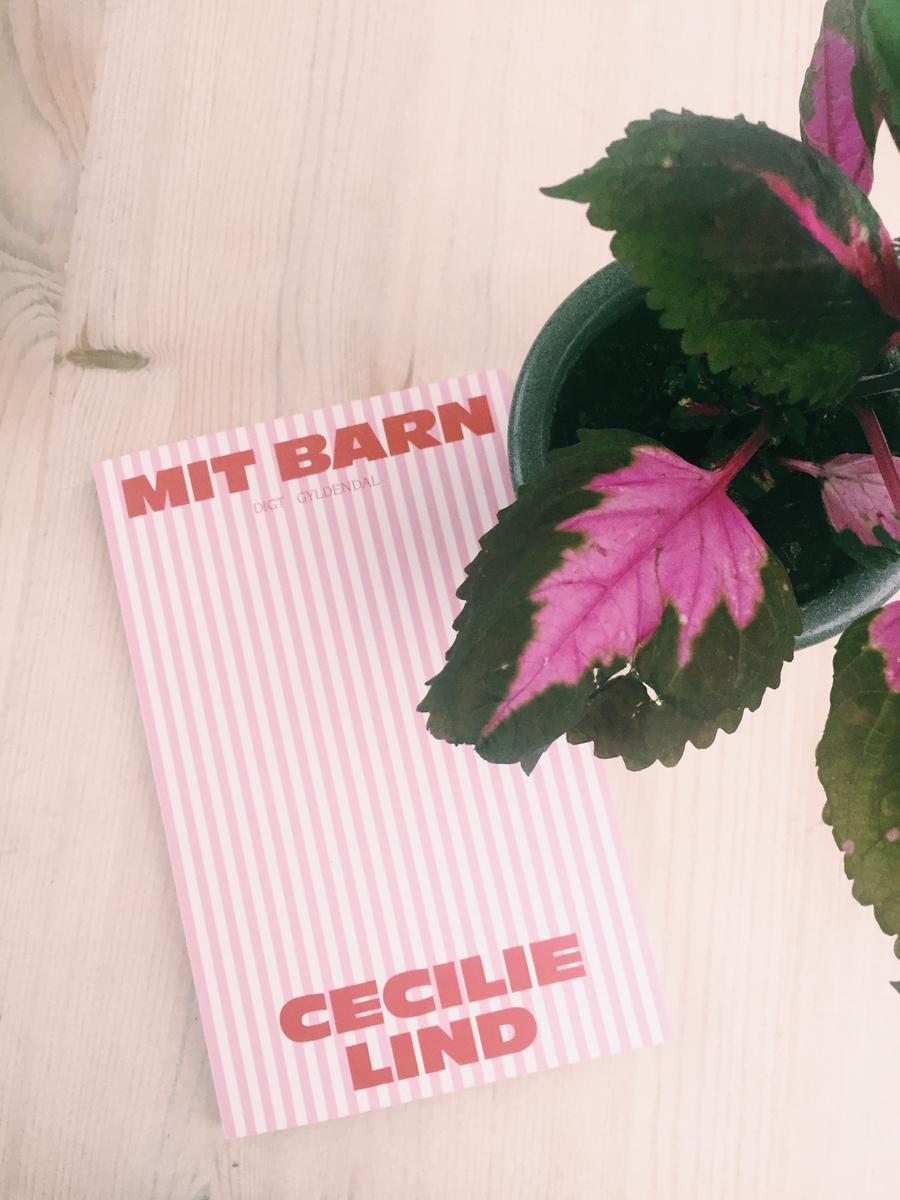 Forside af bogen Mit barn