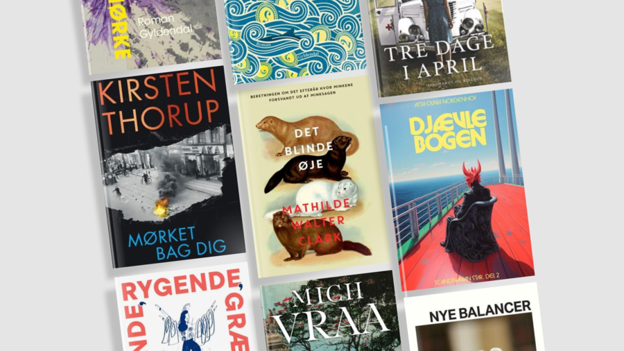 Bøger skrevet af danske forfattere, som er på programmet til LiteratureXchange 2024. Bøger skrevet af danske forfattere, som er på programmet til LiteratureXchange 2024.