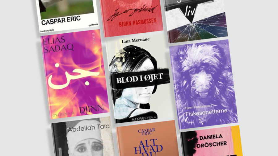 Bøger om krop og køn skrevet af forfattere, som er på programmet til LiteratureXchange 2024. Bøger om krop og køn skrevet af forfattere, som er på programmet til LiteratureXchange 2024.
