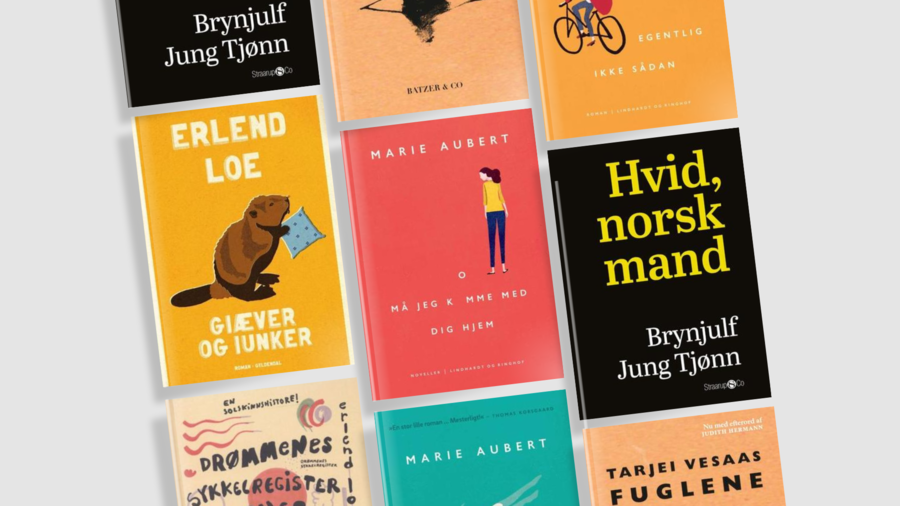 Bøger skrevet af norske forfattere, som er på programmet til LiteratureXchange 2024. Bøger skrevet af norske forfattere, som er på programmet til LiteratureXchange 2024.