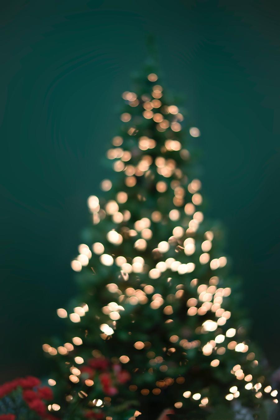 Foto: Rodolfo Marques / Unsplash